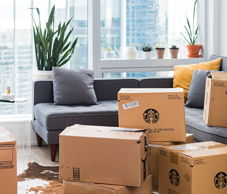 Packers and movers network